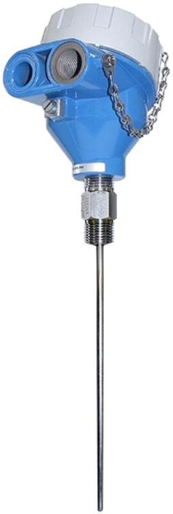 E+H T15 RTD Thermometer